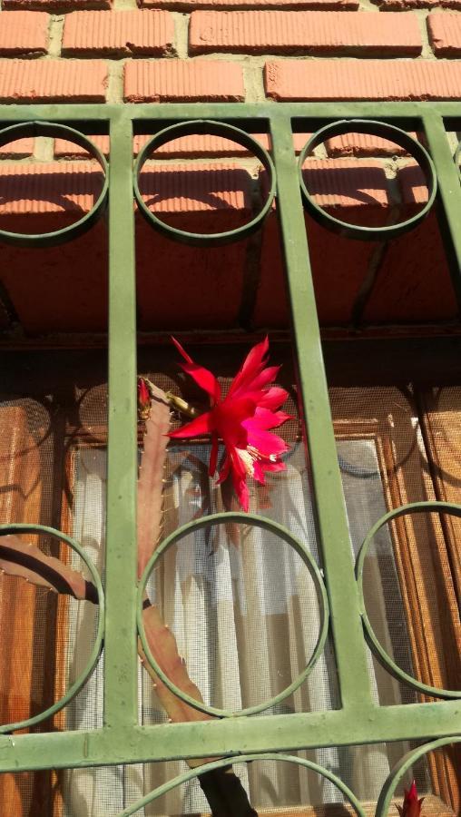 Lo De Su Bed & Breakfast Salta Eksteriør bilde